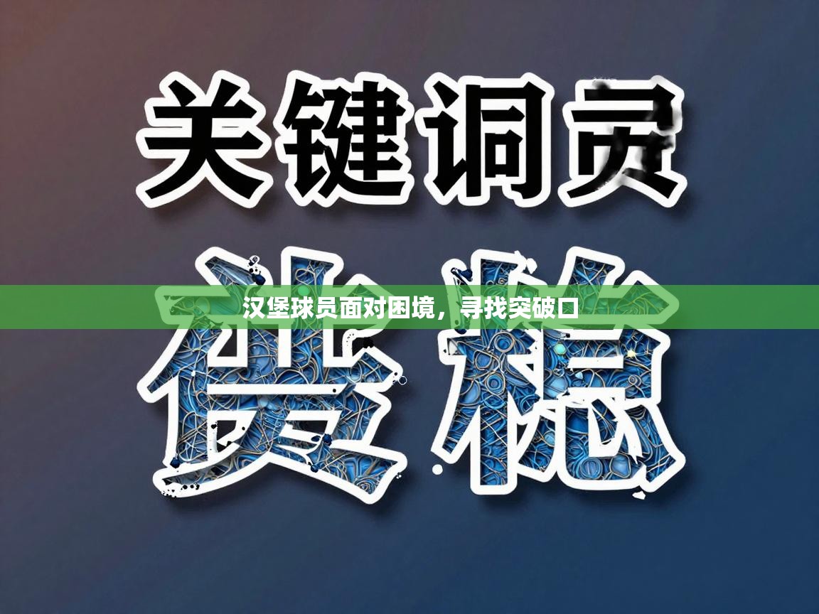 汉堡球员面对困境，寻找突破口  第1张