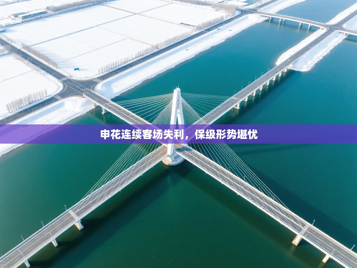 申花连续客场失利,保级形势堪忧 第1张