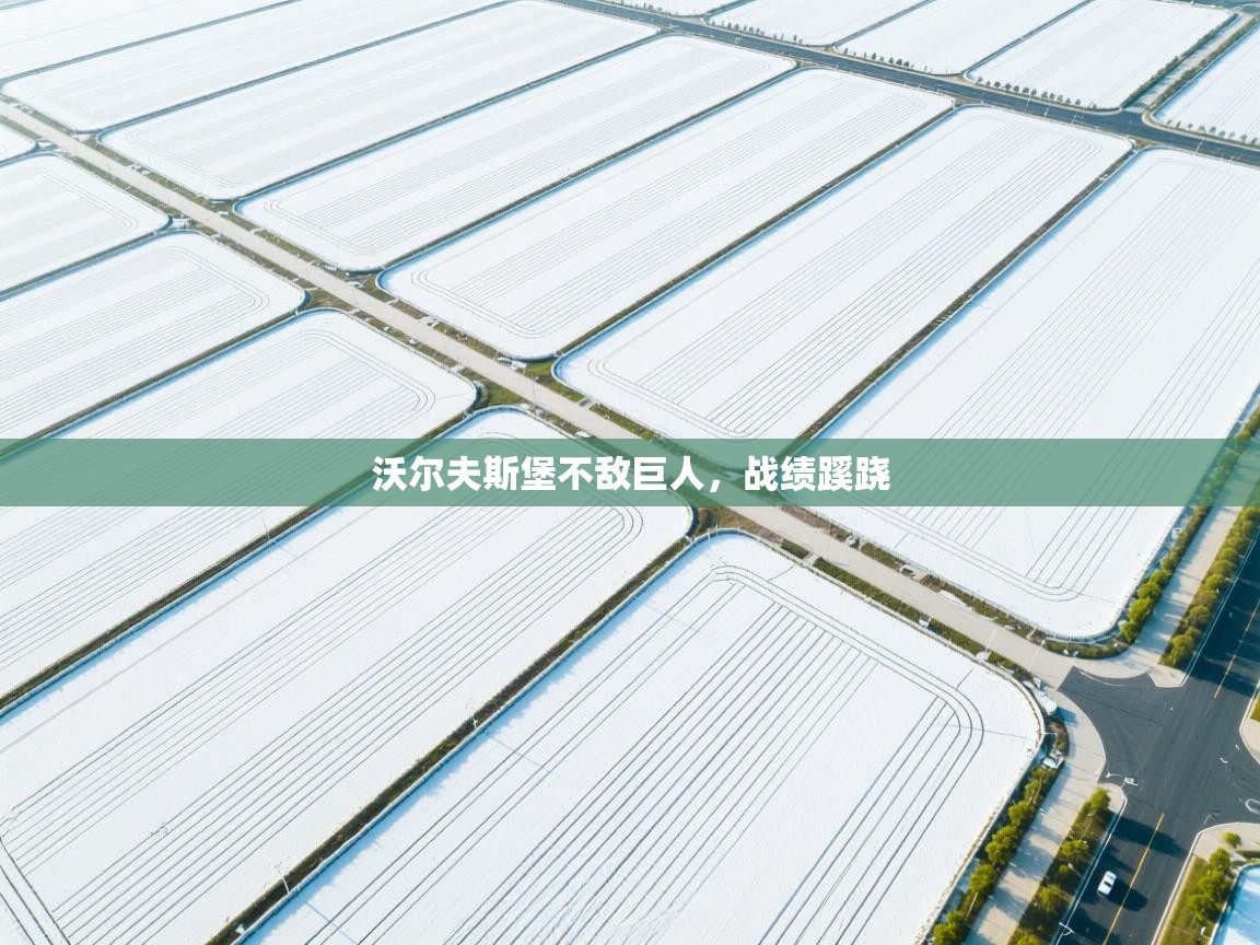 沃尔夫斯堡不敌巨人，战绩蹊跷